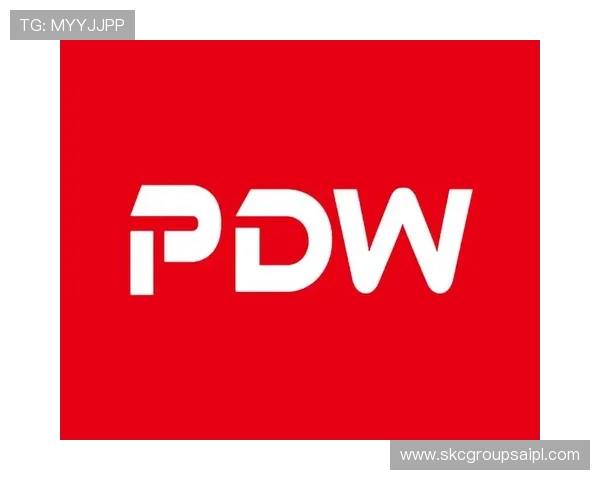 尊龙凯时z6官网下载：下载速度提升与稳定性保障方法