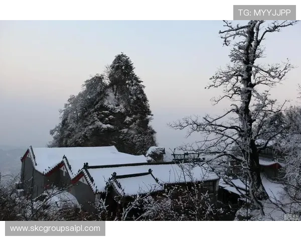 d8娱乐官网的支付方式多样化，支持多平台快速充值体验