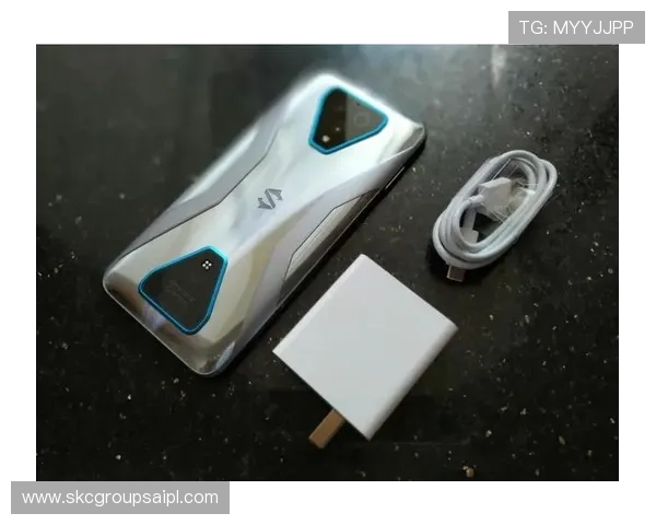 尊龙手机娱乐打造安全稳定的游戏环境，保障玩家的账号安全和游戏体验