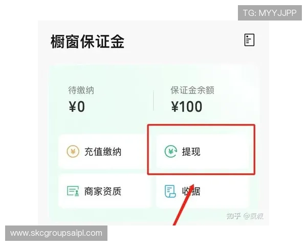 凯时官网平台多样化的支付方式与快速提现服务，确保玩家资金安全与便捷操作体验